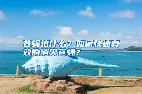 苍蝇怕什么？如何快速有效的消灭苍蝇？