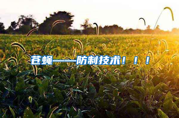 苍蝇——防制技术?。?!