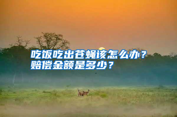 吃饭吃出苍蝇该怎么办?赔偿金额是多少?