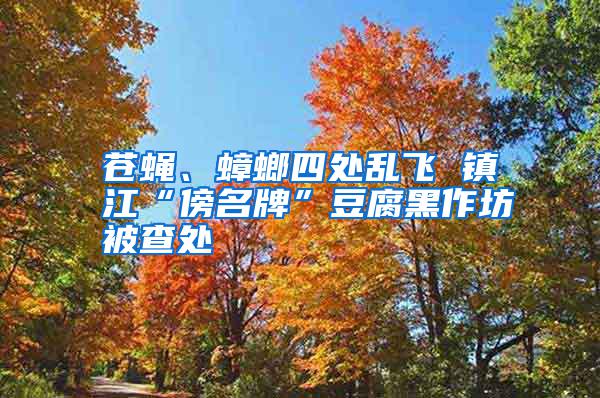 苍蝇、蟑螂四处乱飞 镇江“傍名牌”豆腐黑作坊被查处