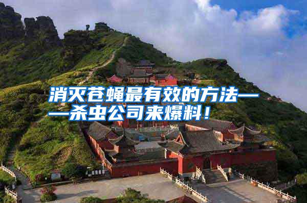 消灭苍蝇最有效的方法——杀虫公司来爆料！