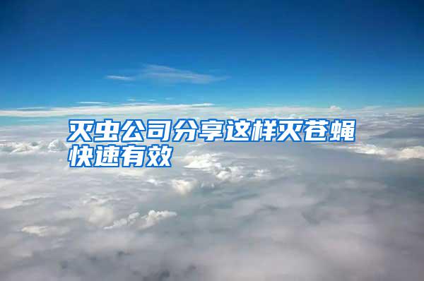 灭虫公司分享这样灭苍蝇快速有效