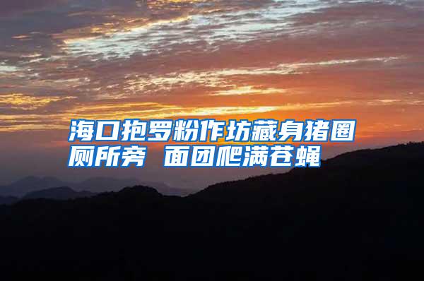 ?？诒薹圩鞣徊厣碇砣Σ匏?面团爬满苍蝇