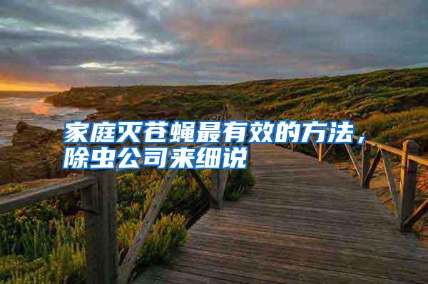 家庭灭苍蝇最有效的方法，除虫公司来细说