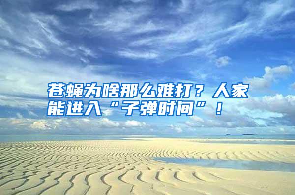 苍蝇为啥那么难打？人家能进入“子弹时间”！
