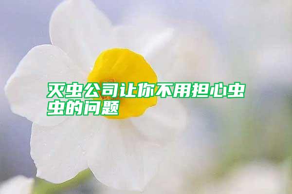 灭虫公司让你不用担心虫虫的问题