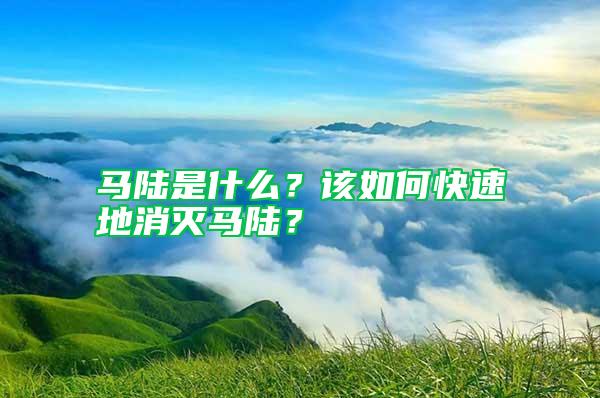 马陆是什么？该如何快速地消灭马陆？