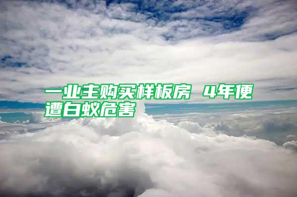 一业主购买样板房 4年便遭白蚁危害
