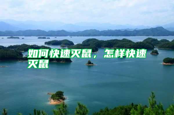 如何快速灭鼠，怎样快速灭鼠