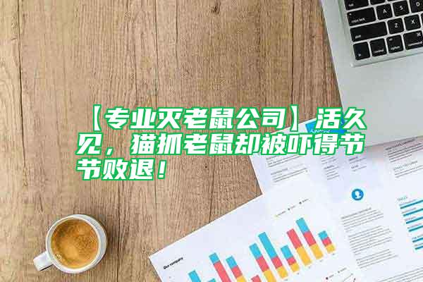 【专业灭老鼠公司】活久见，猫抓老鼠却被吓得节节败退！