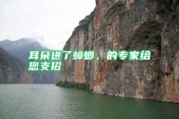 耳朵进了蟑螂，的专家给您支招