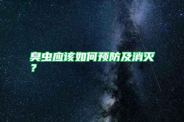 臭虫应该如何预防及消灭？