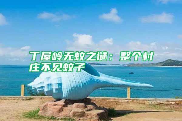 丁屋岭无蚊之谜：整个村庄不见蚊子