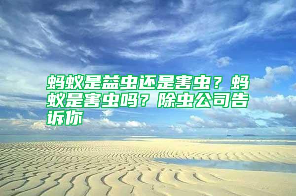 蚂蚁是益虫还是害虫？蚂蚁是害虫吗？除虫公司告诉你