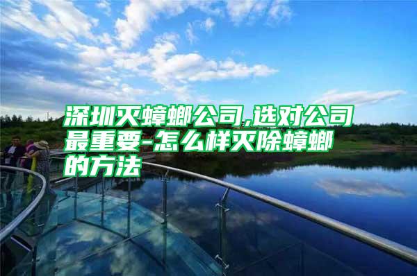 深圳灭蟑螂公司,选对公司最重要-怎么样灭除蟑螂的方法