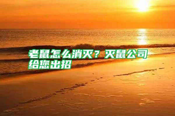 老鼠怎么消灭？灭鼠公司给您出招