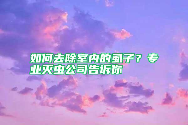 如何去除室内的虱子？专业灭虫公司告诉你