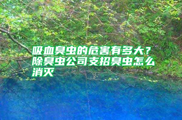 吸血臭虫的危害有多大？除臭虫公司支招臭虫怎么消灭