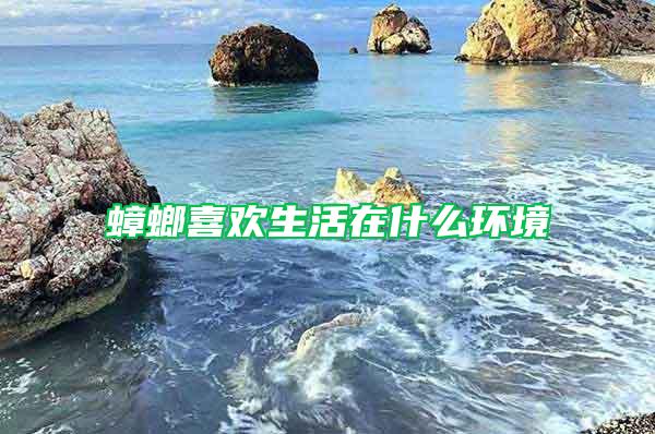 蟑螂喜欢生活在什么环境