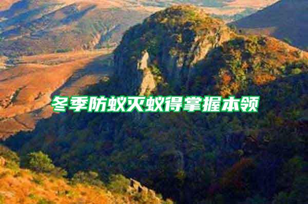 冬季防蚁灭蚁得掌握本领