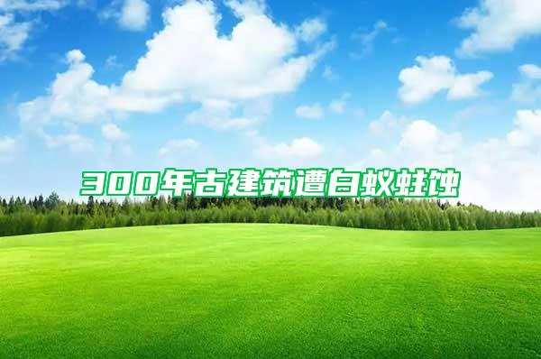300年古建筑遭白蚁蛀蚀