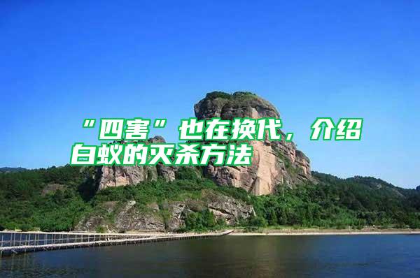 “四害”也在换代，介绍白蚁的灭杀方法