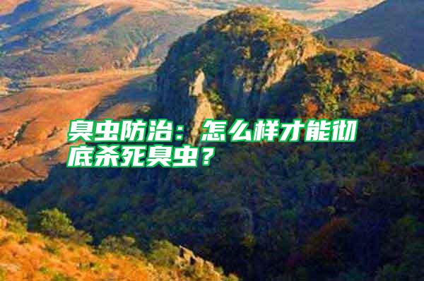 臭虫防治：怎么样才能彻底杀死臭虫？