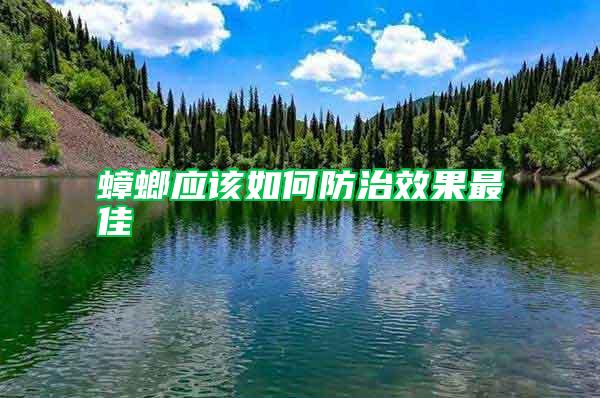 蟑螂应该如何防治效果最佳