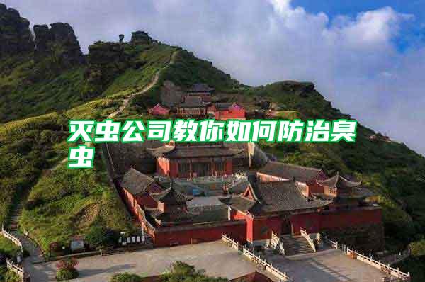 灭虫公司教你如何防治臭虫