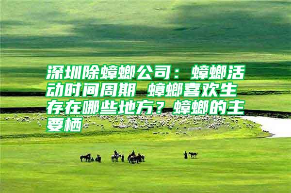 深圳除蟑螂公司：蟑螂活动时间周期 蟑螂喜欢生存在哪些地方？蟑螂的主要栖
