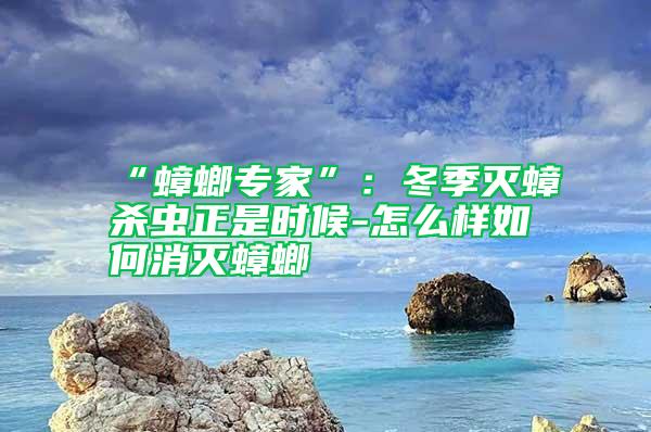 “蟑螂专家”:冬季灭蟑杀虫正是时候-怎么样如何消灭蟑螂