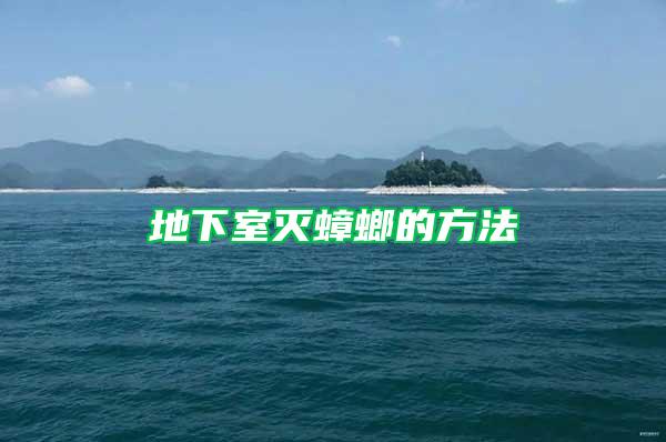 地下室灭蟑螂的方法
