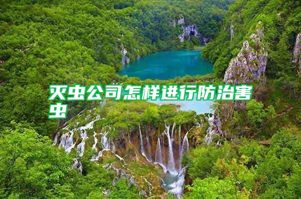 灭虫公司怎样进行防治害虫