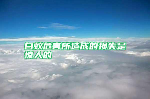 白蚁危害所造成的损失是惊人的