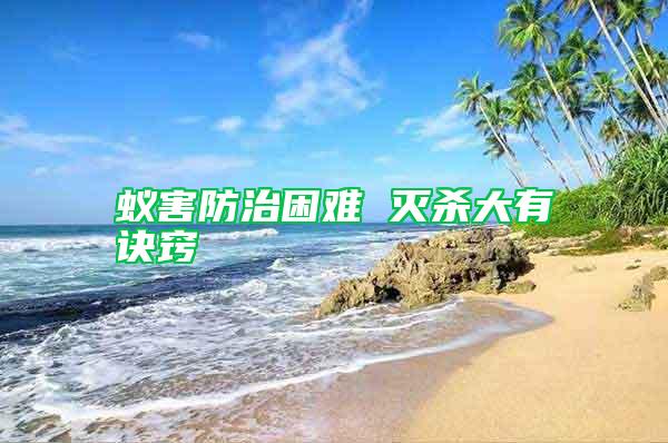 蚁害防治困难 灭杀大有诀窍