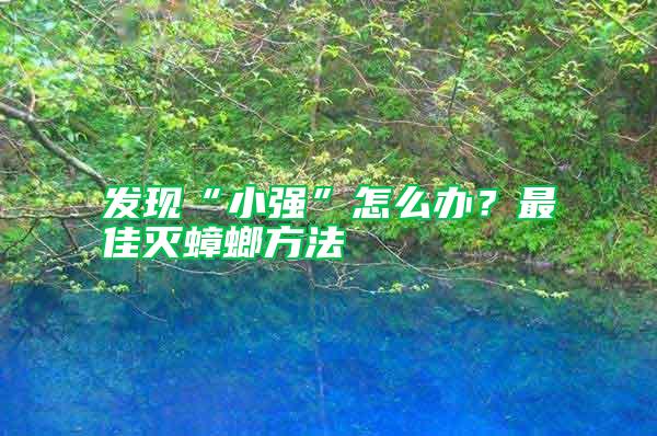 发现“小强”怎么办？最佳灭蟑螂方法