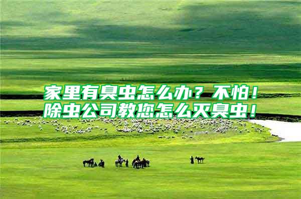 家里有臭虫怎么办？不怕！除虫公司教您怎么灭臭虫！