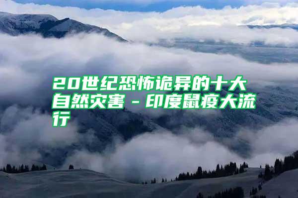 20世纪恐怖诡异的十大自然灾害-印度鼠疫大流行