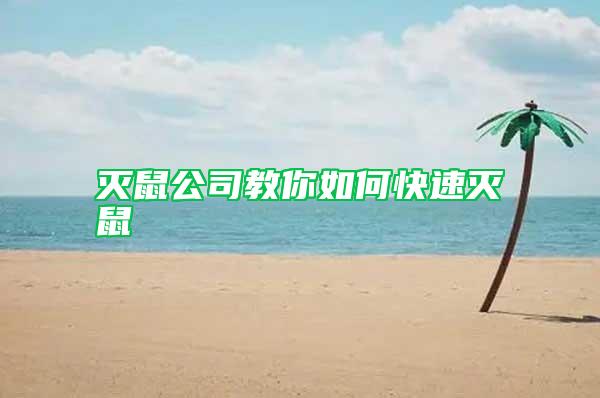 灭鼠公司教你如何快速灭鼠