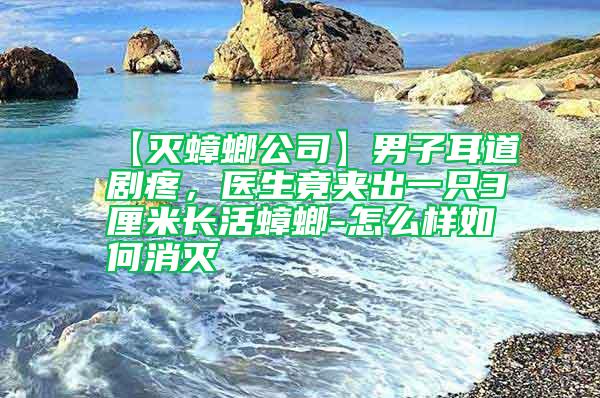 【灭蟑螂公司】男子耳道剧疼，医生竟夹出一只3厘米长活蟑螂-怎么样如何消灭