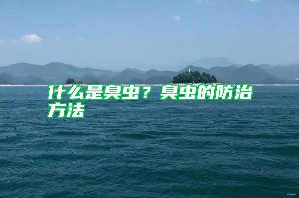 什么是臭虫？臭虫的防治方法