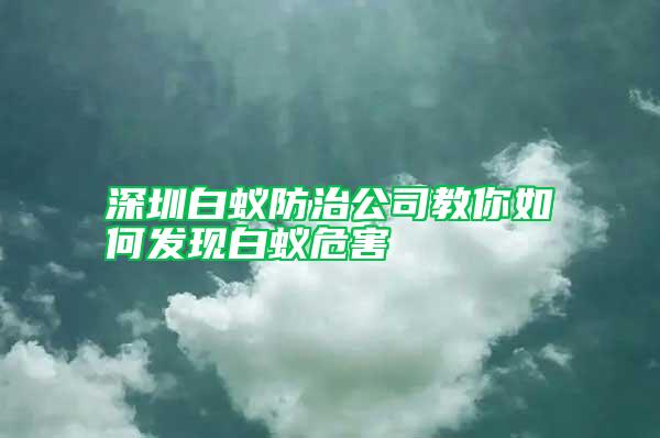 深圳白蚁防治公司教你如何发现白蚁危害