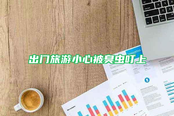 出门旅游小心被臭虫叮上