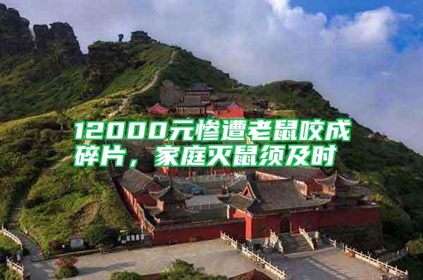 12000元惨遭老鼠咬成碎片，家庭灭鼠须及时