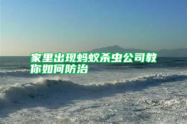 家里出现蚂蚁杀虫公司教你如何防治