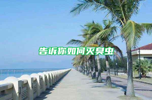 告诉你如何灭臭虫