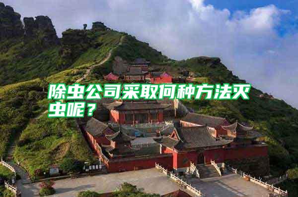 除虫公司采取何种方法灭虫呢？