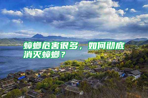 蟑螂危害很多,如何彻底消灭蟑螂?