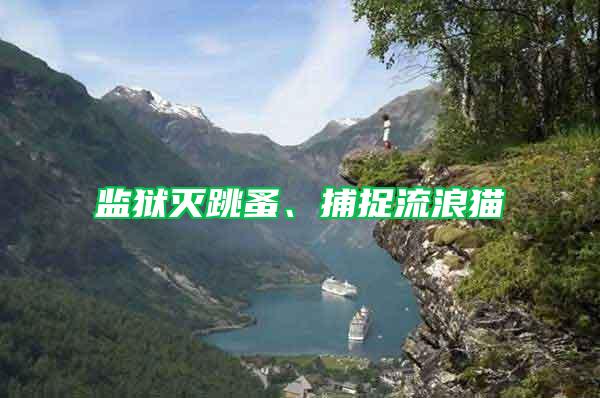 监狱灭跳蚤、捕捉流浪猫