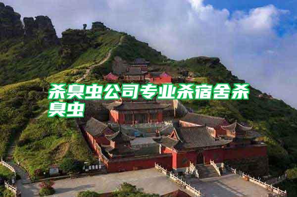 杀臭虫公司专业杀宿舍杀臭虫